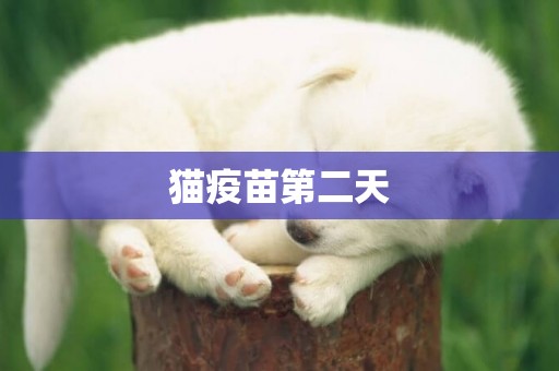 貓疫苗第二天