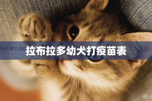 拉布拉多幼犬打疫苗表