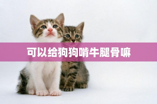 可以給狗狗啃牛腿骨嘛