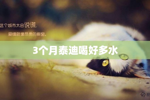 3個月泰迪喝好多水