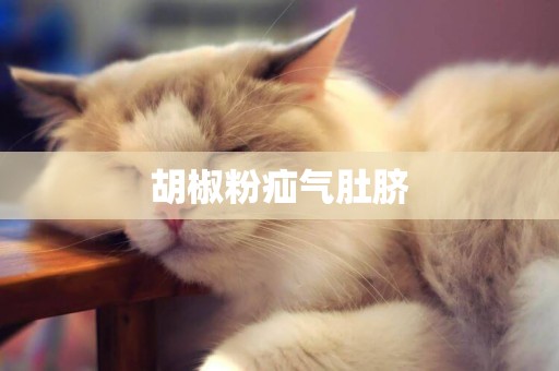 胡椒粉疝氣肚臍