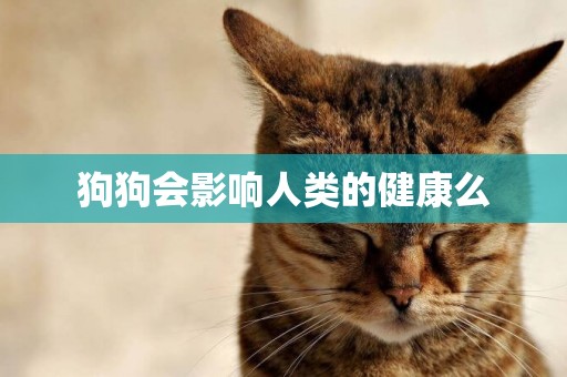 狗狗會影響人類的健康么