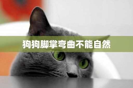 狗狗腳掌彎曲不能自然