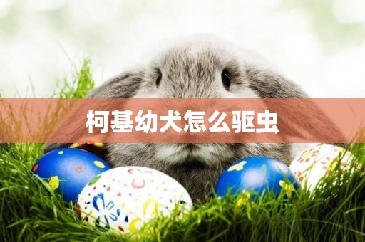 柯基幼犬怎么驅蟲