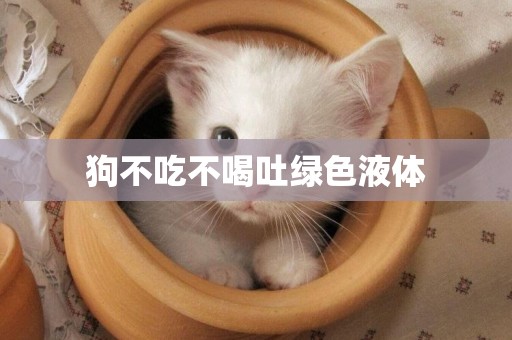 狗不吃不喝吐綠色液體