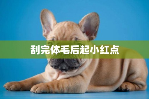 刮完體毛后起小紅點