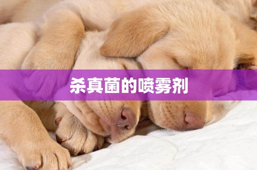 殺真菌的噴霧劑