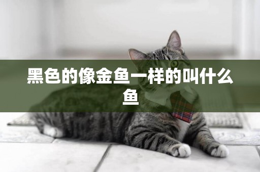 黑色的像金魚一樣的叫什么魚