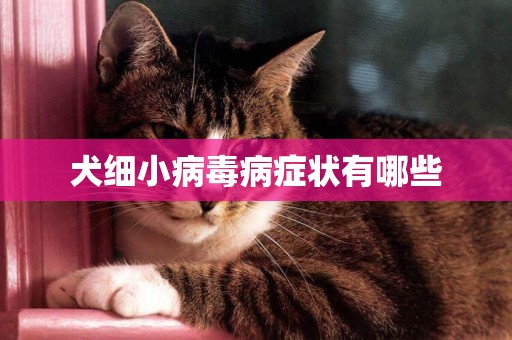 犬細小病毒病癥狀有哪些