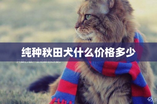 純種秋田犬什么價格多少