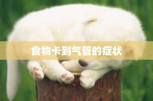 食物卡到氣管的癥狀