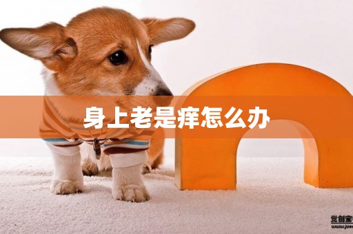 身上老是癢怎么辦