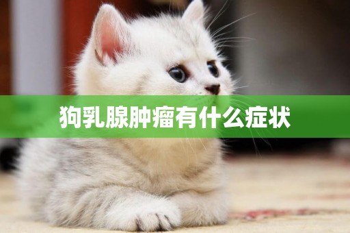 狗乳腺腫瘤有什么癥狀