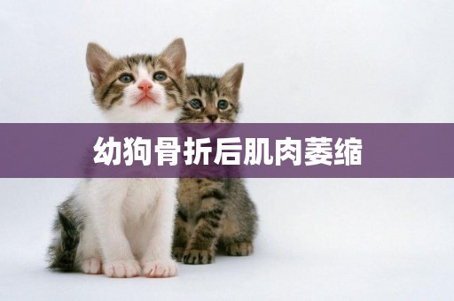 幼狗骨折后肌肉萎縮