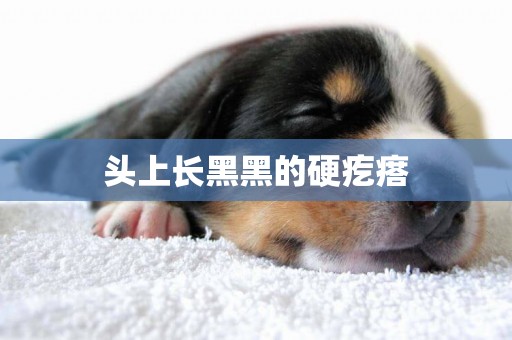 頭上長黑黑的硬疙瘩