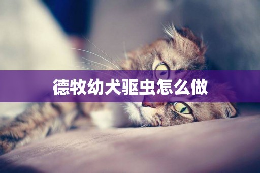 德牧幼犬驅蟲怎么做