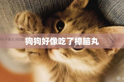 狗狗好像吃了樟腦丸