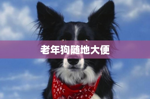 老年狗隨地大便