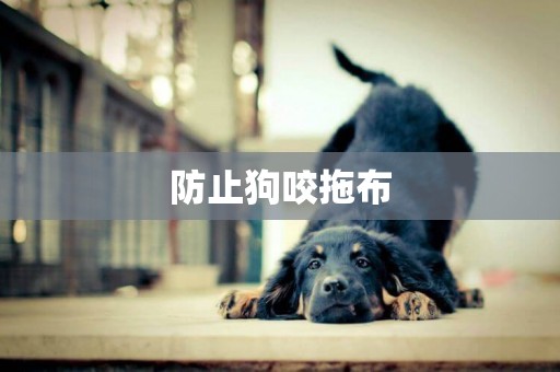 防止狗咬拖布