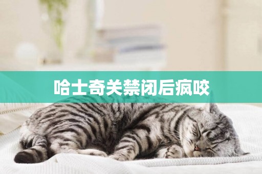 哈士奇關禁閉后瘋咬