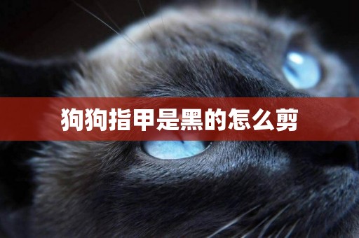 狗狗指甲是黑的怎么剪