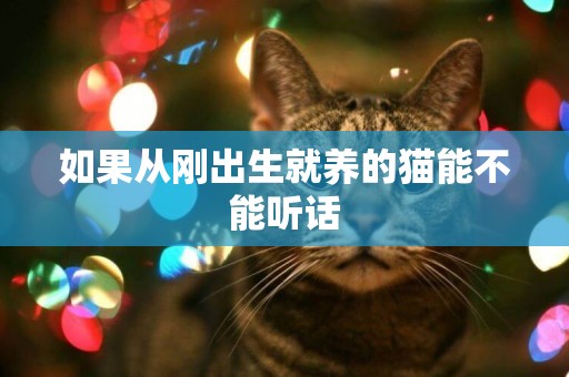 如果從剛出生就養的貓能不能聽話