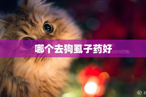 哪個去狗虱子藥好