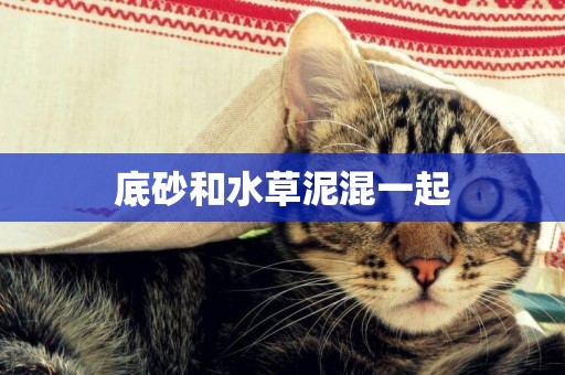 底砂和水草泥混一起