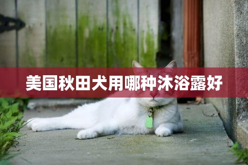 美國秋田犬用哪種沐浴露好