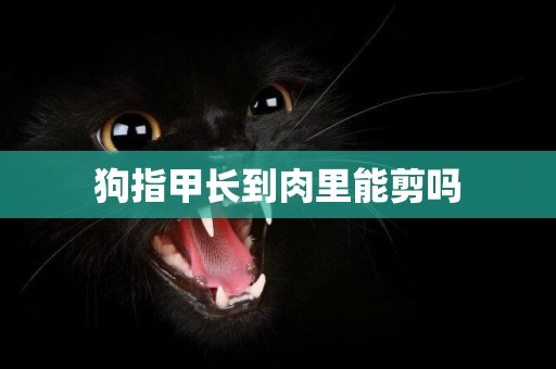 狗指甲長到肉里能剪嗎