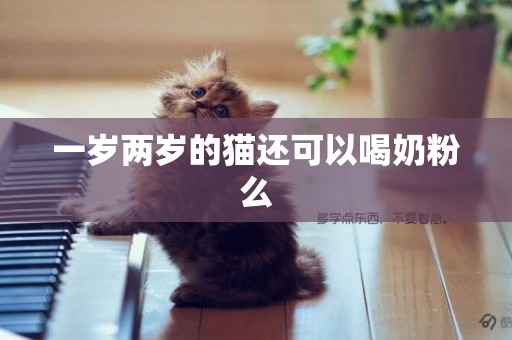 一歲兩歲的貓還可以喝奶粉么