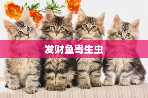 發財魚寄生蟲