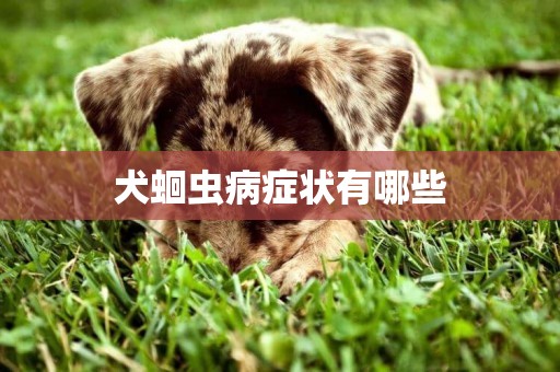 犬蛔蟲病癥狀有哪些