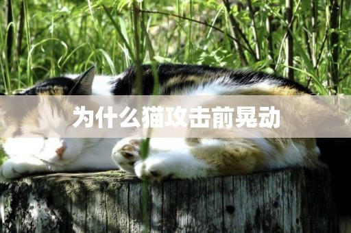 為什么貓攻擊前晃動