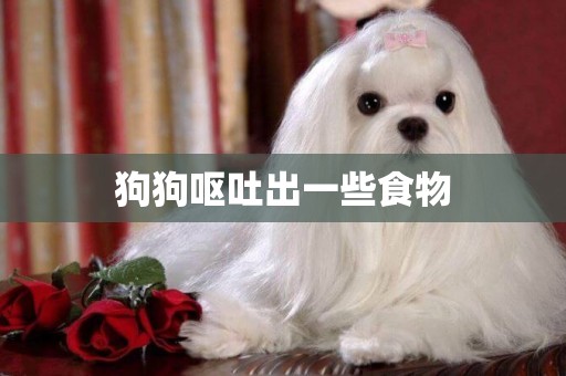 狗狗嘔吐出一些食物