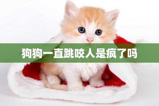 狗狗一直跳咬人是瘋了嗎