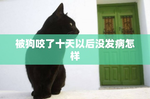 被狗咬了十天以后沒發病怎樣