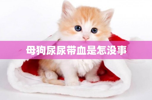 母狗尿尿帶血是怎沒事
