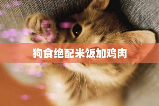 狗食絕配米飯加雞肉