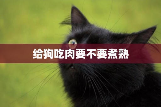 給狗吃肉要不要煮熟