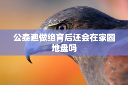 公泰迪做絕育后還會在家圈地盤嗎