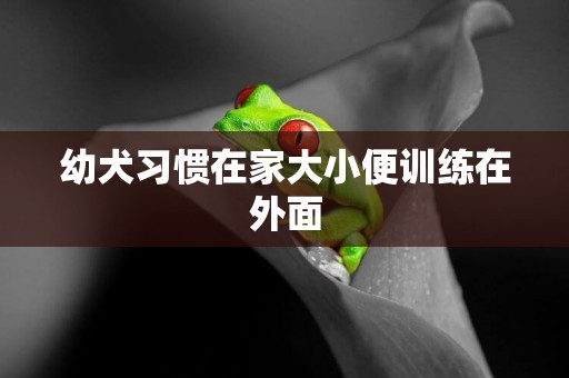 幼犬習慣在家大小便訓練在外面