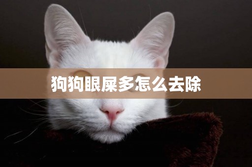 狗狗眼屎多怎么去除