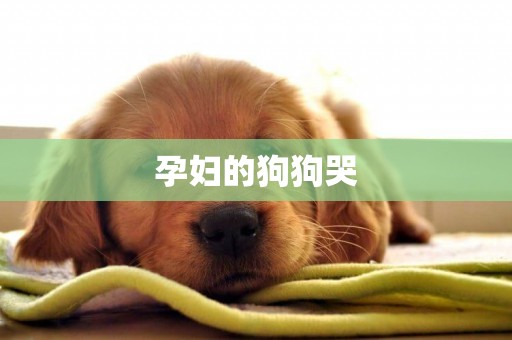 孕婦的狗狗哭