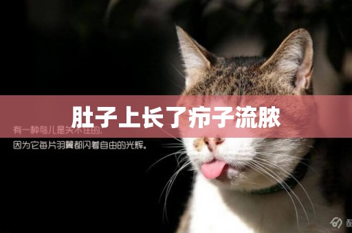 肚子上長了癤子流膿
