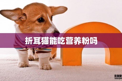 折耳貓能吃營養粉嗎
