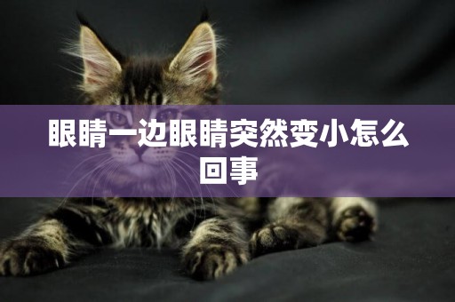 眼睛一邊眼睛突然變小怎么回事