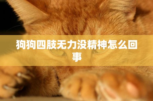狗狗四肢無力沒精神怎么回事