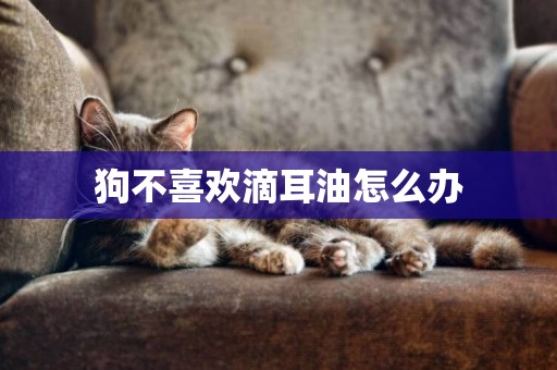 狗不喜歡滴耳油怎么辦