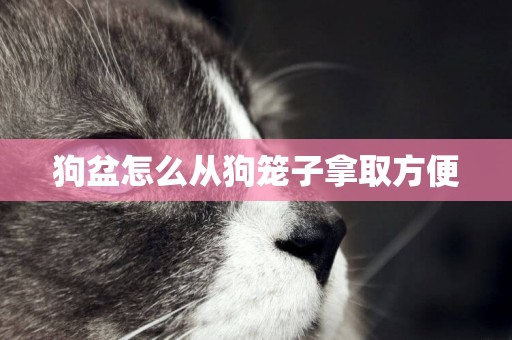 狗盆怎么從狗籠子拿取方便